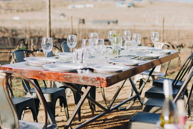 Wine Tasting Among Vineyards with Panoramic Views of the Valley - Who will enjoy this tasting most?