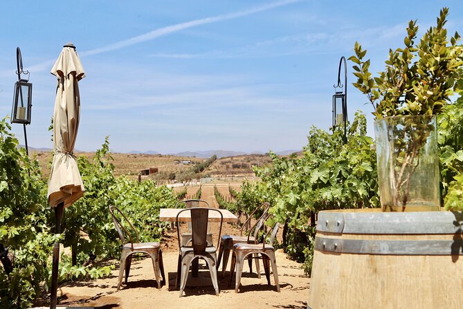 Wine Tasting Among Vineyards with Panoramic Views of the Valley - My call: book it for a calm, private wine stop