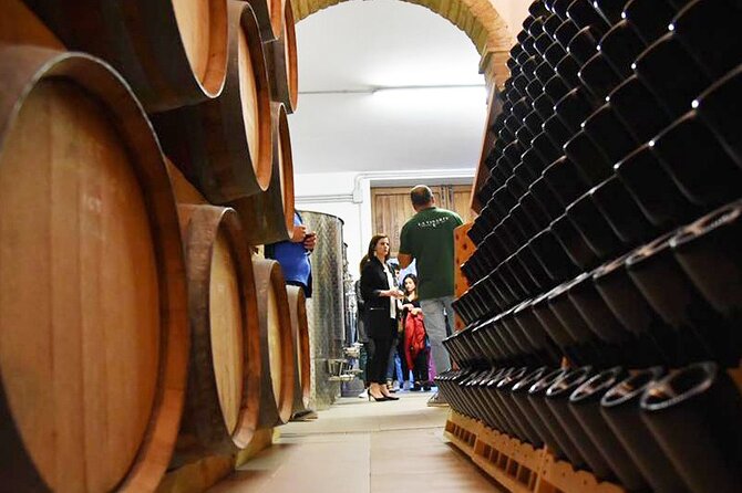 Wine Tasting and Guided Visit to the Vineyard and Cellar in S. Maria Imbaro - A small winery with a personal welcome