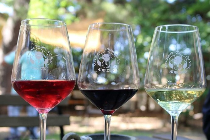 Wine Tasting and Guided Visit to the Vineyard and Cellar in S. Maria Imbaro - Is $30.10 a good price?