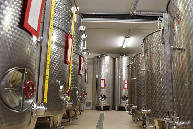 Wine Tasting and Guided Visit to the Vineyard and Cellar in S. Maria Imbaro - Who will enjoy La Vinarte most?