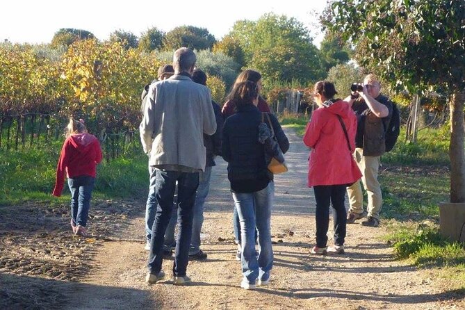 Wine Tasting and Guided Visit to the Vineyard and Cellar in S. Maria Imbaro - Why the guides make a difference