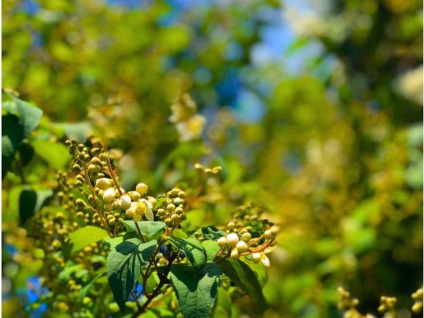 Wine Tasting and Winery Visit near Asti and Turin - Small Details That Make the Visit Better