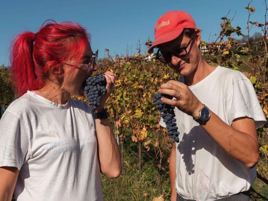 Wine Tasting and Winery Visit near Asti and Turin - Should You Book Cantina Roggero Vini?