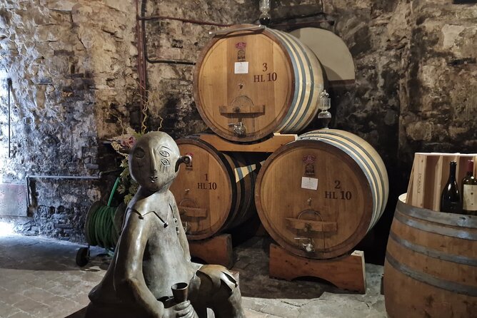 Wine Tasting in Montepulciano with Visit to the Vineyards Private Tour - What the private format is really worth