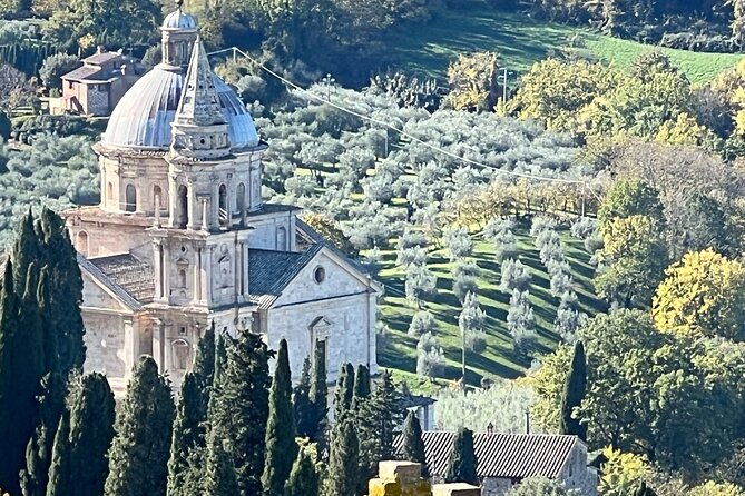Wine Tasting in Montepulciano with Visit to the Vineyards Private Tour - Timing, pickup and practical details