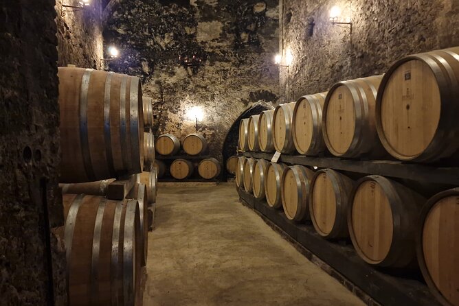 Wine Tasting in Montepulciano with Visit to the Vineyards Private Tour - Who will enjoy this wine tour most