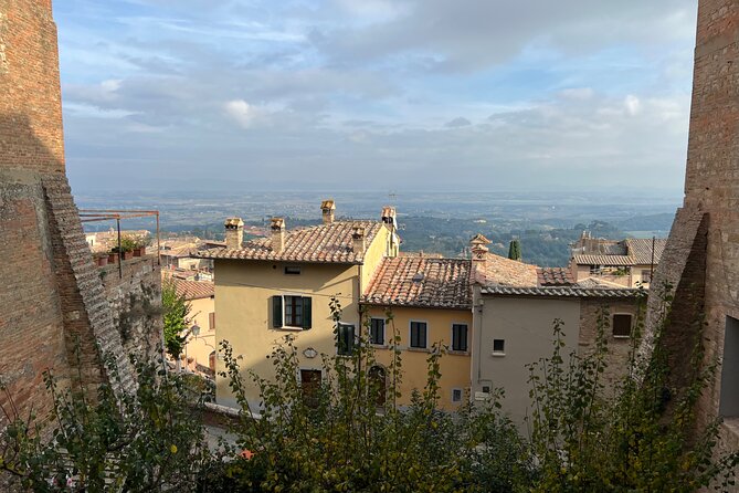 Wine Tasting in Montepulciano with Visit to the Vineyards Private Tour - The vineyards at Fontecornino