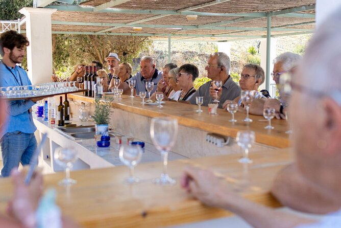 Wine tasting in Rhodes, inside the vineyards with the Producer - A vineyard visit near the Valley of Butterflies