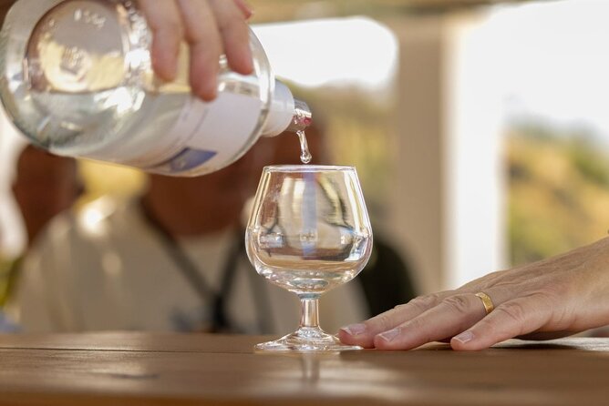 Wine tasting in Rhodes, inside the vineyards with the Producer - Seeing the winery before the grapes are tasted