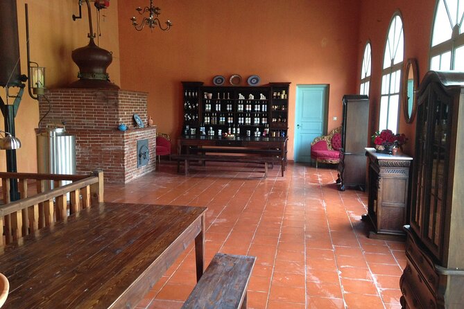 Wine tasting in Rhodes, inside the vineyards with the Producer - Timing, transport, and practical details