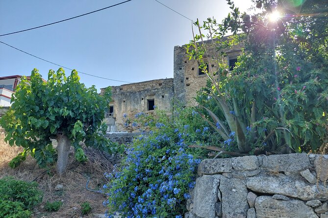 Wine Tasting: Meet the Cretan Vineyard at West Chania - Is $60.01 a fair price?