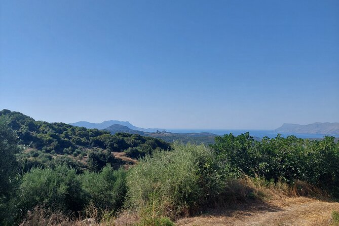 Wine Tasting: Meet the Cretan Vineyard at West Chania - Who will enjoy this tasting most?