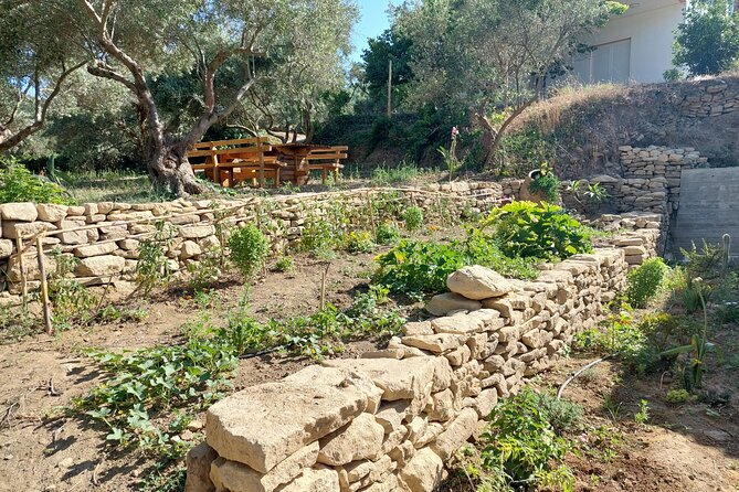 Wine Tasting: Meet the Cretan Vineyard at West Chania - What the 90-minute schedule feels like