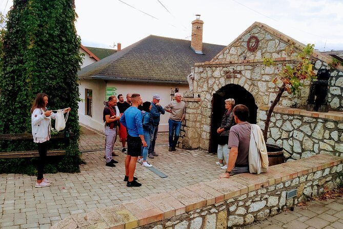 Wine Tasting Tour in Tokaj Wine Region Slovakia. With transport - What the $252.33 price really covers