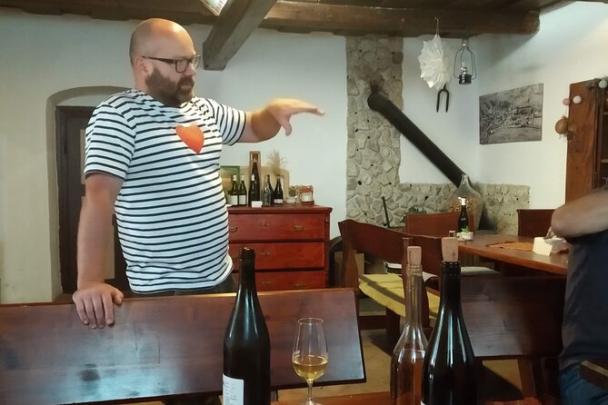 Wine Tasting Tour in Tokaj Wine Region Slovakia. With transport - Timing, comfort, and practical planning