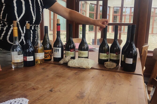 Wine Tasting Tour in Tokaj Wine Region Slovakia. With transport - Veľká Tŕňa and the main cellar visit