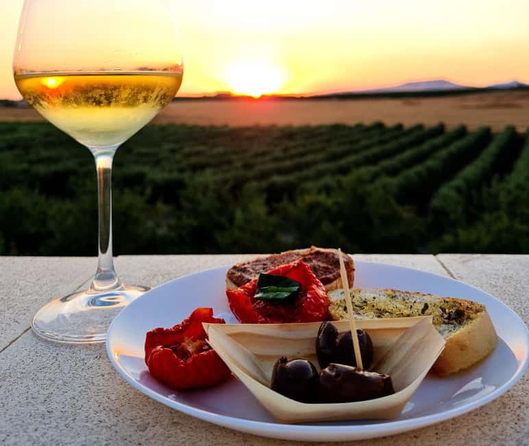 Wine tasting under the Stars in the vineyards of Agrigento - Walking among vines and olive trees after dark