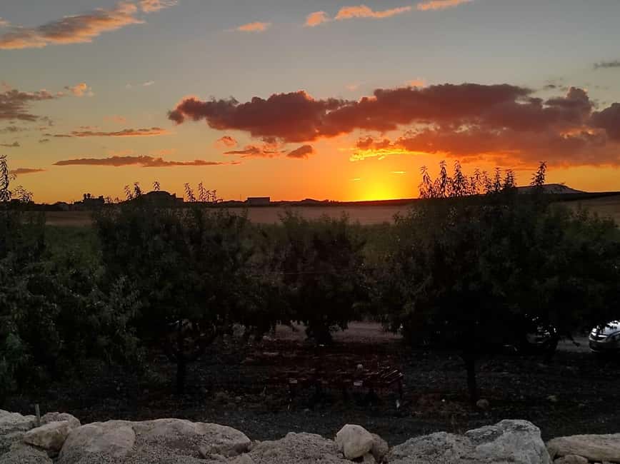 Wine tasting under the Stars in the vineyards of Agrigento - Sicilian food that makes the wine matter