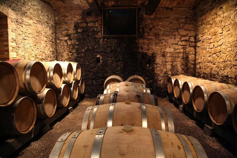 Wine Tasting & Vineyards Escape near Tirana - Walking through the vineyard and cellar