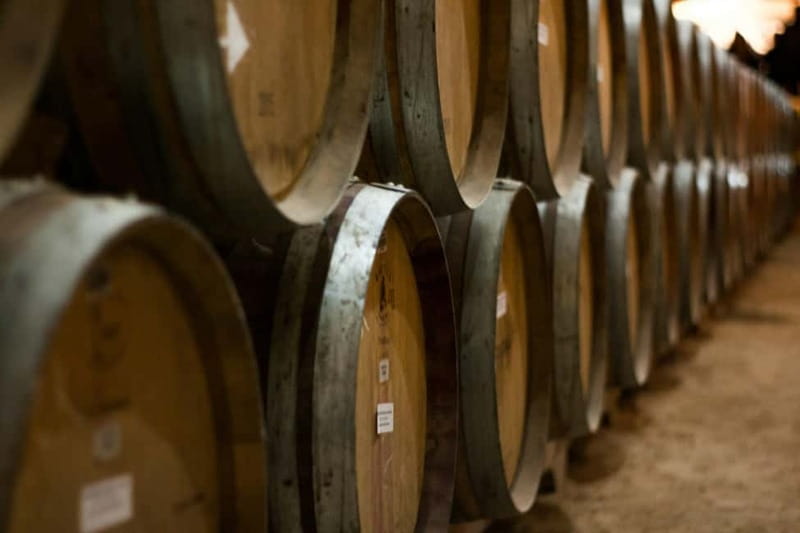 Wine Tasting & Vineyards Escape near Tirana - What the six-hour schedule really gives you