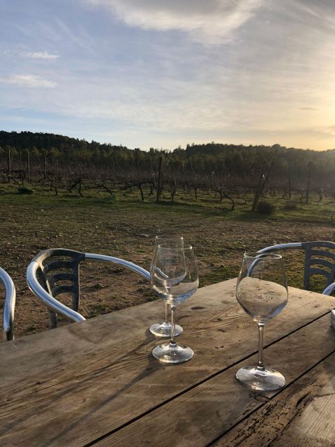 Wine tour and lunch or dinner at our vineyard - Wine tasting with a distinctly Sardinian table