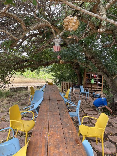 Wine tour and lunch or dinner at our vineyard - Is $113.29 a fair price?