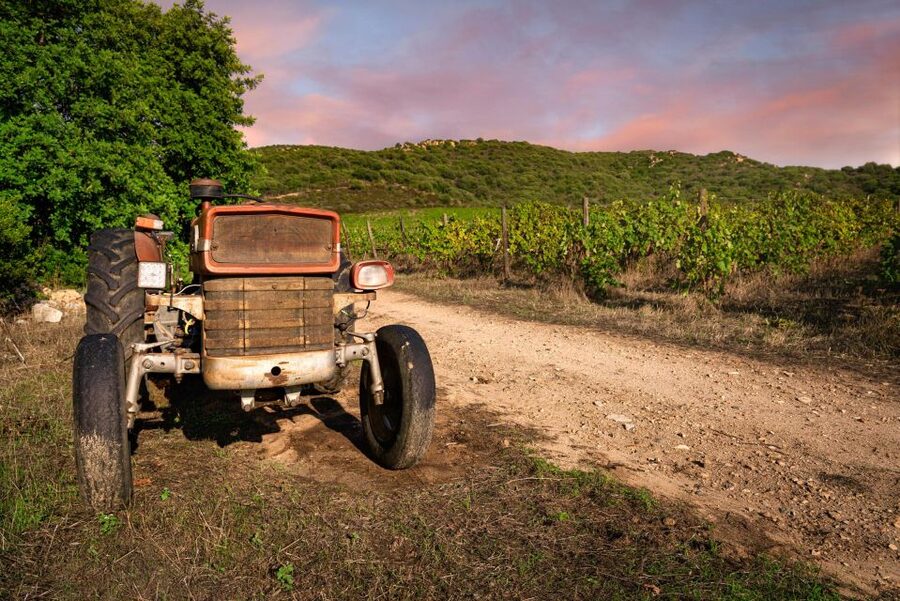 Wine tour and lunch or dinner at our vineyard - Who should choose this three-hour visit?