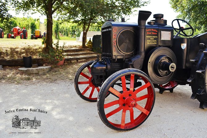 Wine Tour and Tasting at Le Marche's Oldest Wine Estate - The one-hour schedule and its limits