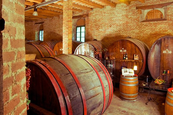 Wine Tour and Tasting at Le Marche's Oldest Wine Estate - From the cellar to the vineyard view