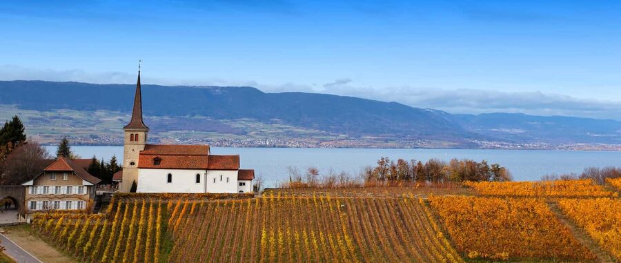Wine tour in the canton of Vaud - Lavaux vineyards - Key points to know before you book