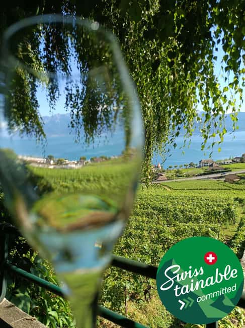 Wine tour in the canton of Vaud - Lavaux vineyards - Why Lavaux is the star of the day