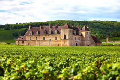 Wine tour in the canton of Vaud – Lavaux vineyards