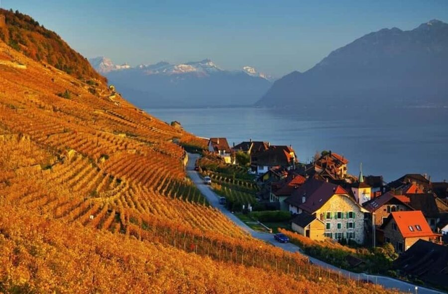 Wine tour in the canton of Vaud - Lavaux vineyards - What the $322 price really covers
