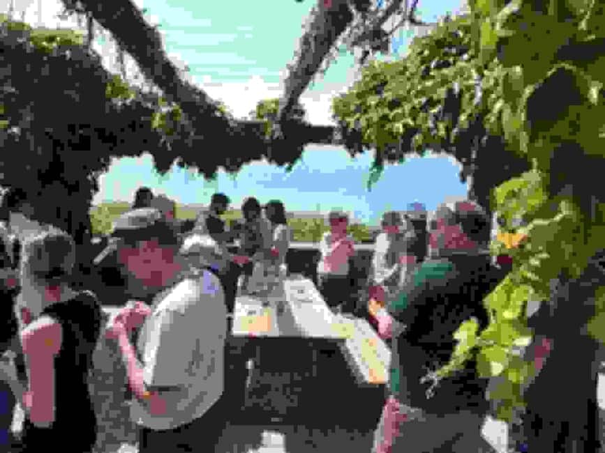 Wine tour in the canton of Vaud - Lavaux vineyards - Who should book this Vaud wine day?