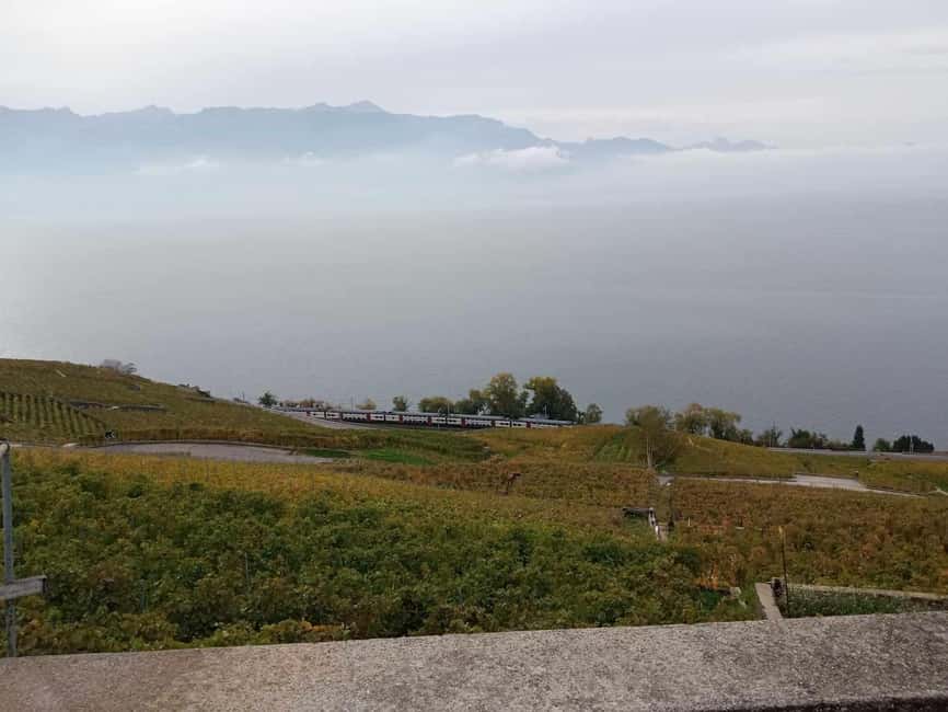 Wine tour in the canton of Vaud - Lavaux vineyards - FAQ