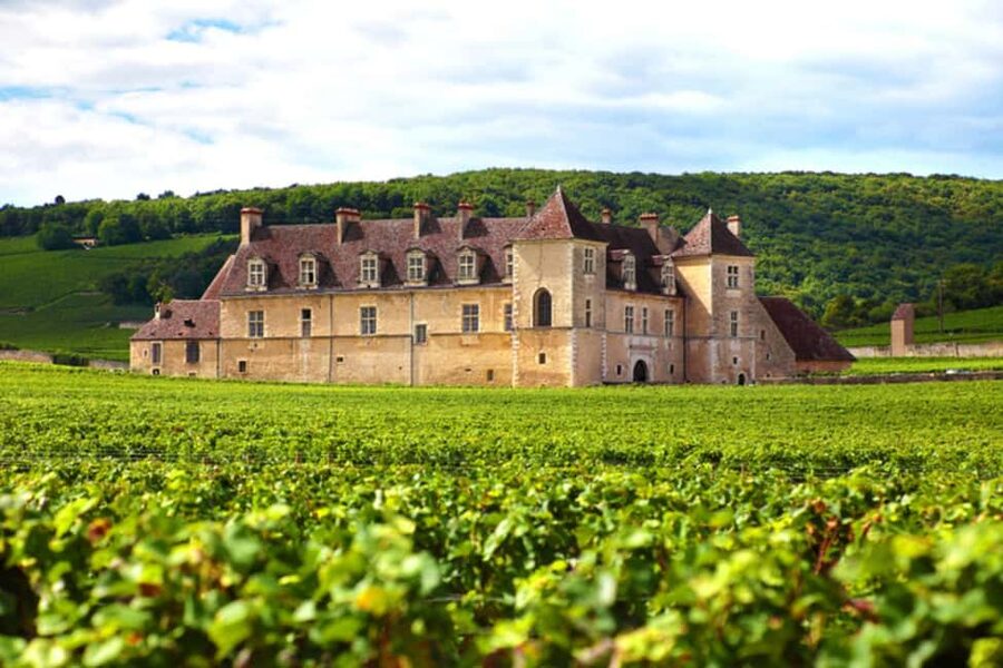 Wine tour in the canton of Vaud - Lavaux vineyards - Three tasting sessions, three chances to understand Vaud