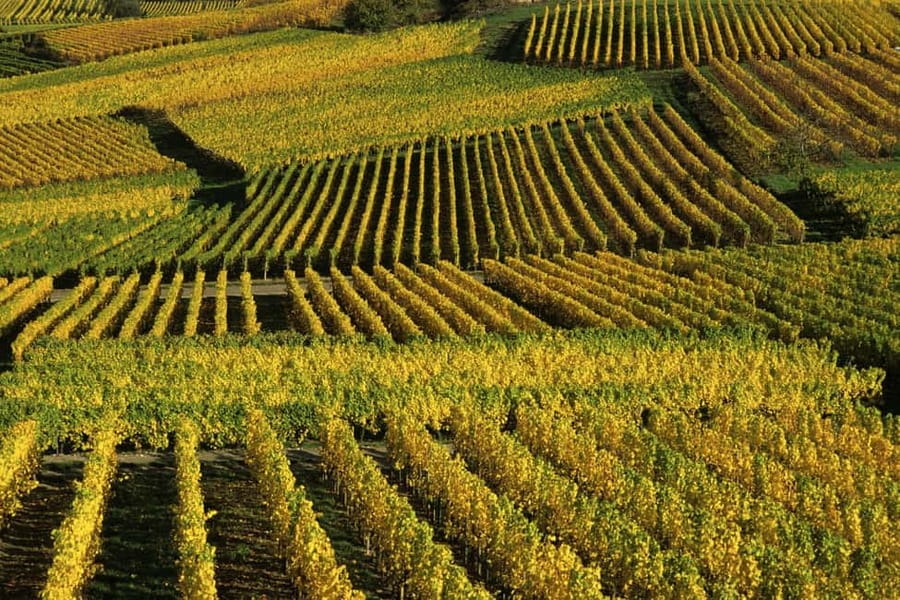 Wine tour of the Alsace wine route - Key points at a glance