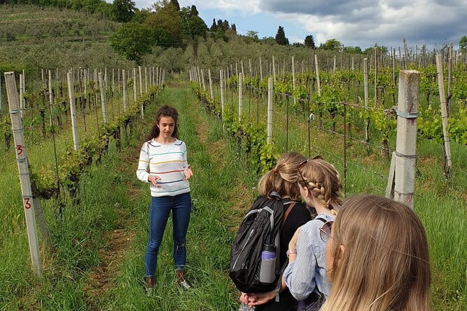 Wine Tour of two Chianti wine estates on the hills of Florence - Why this Chianti outing is different from a basic wine trip