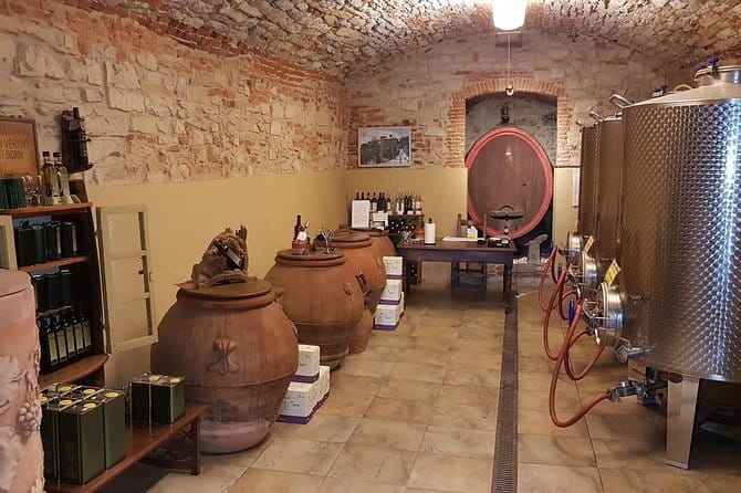 Wine Tour of two Chianti wine estates on the hills of Florence - Agriturismo Ulivello: vineyards, a modern cellar, and paired tasting