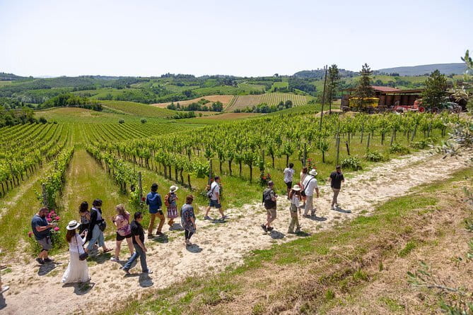 Wine Tour of two Chianti wine estates on the hills of Florence - Castello di Volognano: a second estate and a useful comparison