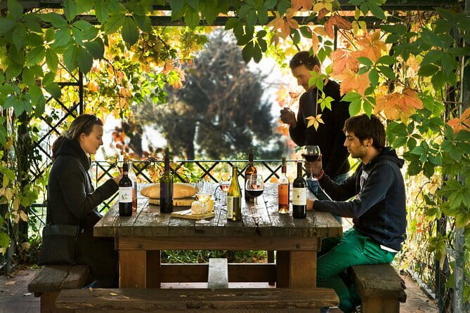 Wine Tour of two Chianti wine estates on the hills of Florence - Is $368.77 per person a fair price?
