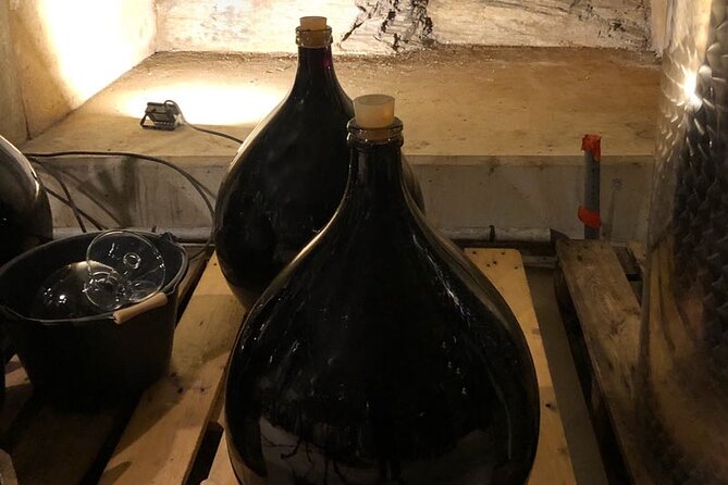 Wine Tours and Tastings from Béziers - Two wineries, two sides of the Béziers wine country