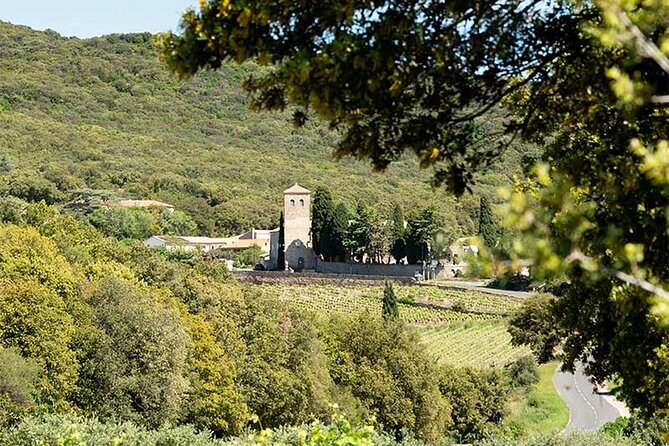 Wine Tours and Tastings from Béziers - What you may taste during the afternoon