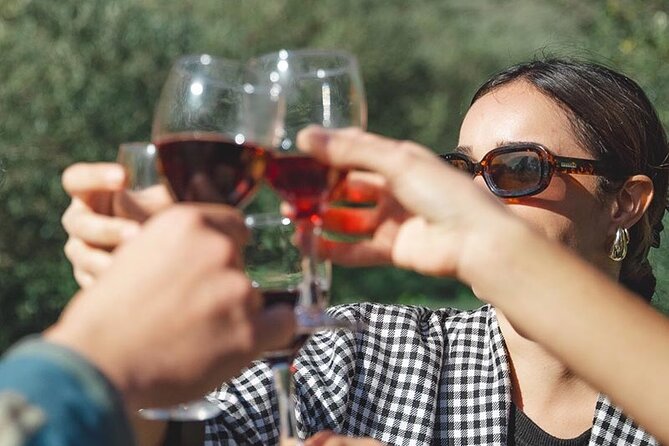 Wine Tours and Tastings from Béziers - Who gets the most value from this tour
