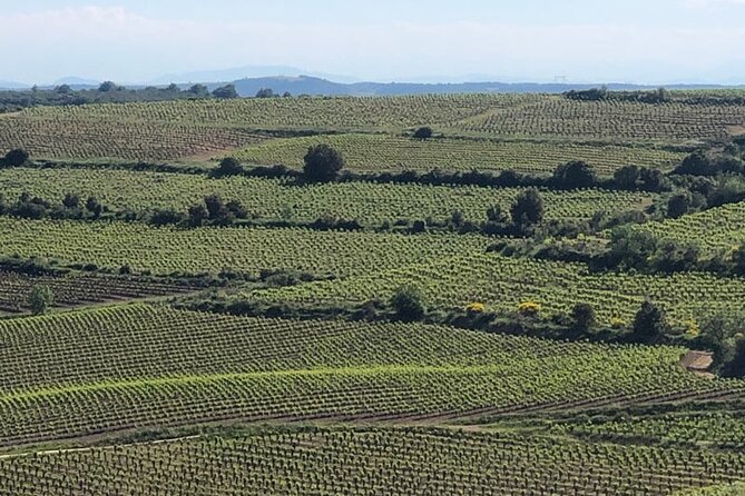 Wine Tours and Tastings from Béziers - Puissalicon begins with a village and a first estate