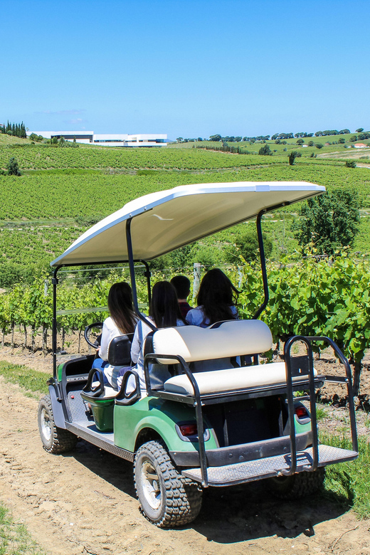 Winery, Tastings & 4x4 Vineyards: Half-Day Trip from Lisbon - Small practical details that matter