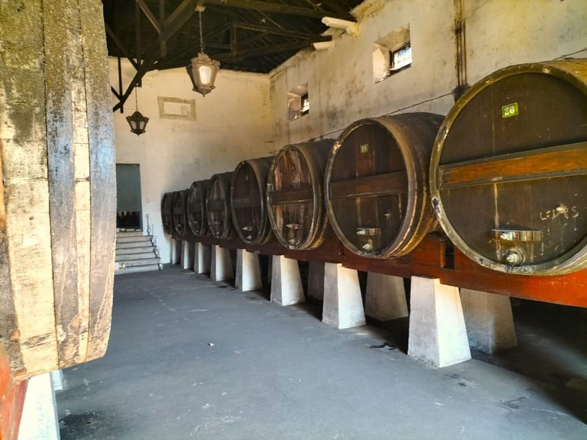 Winery, Tastings & 4x4 Vineyards: Half-Day Trip from Lisbon - From Lisbon streets to Atlantic vineyards