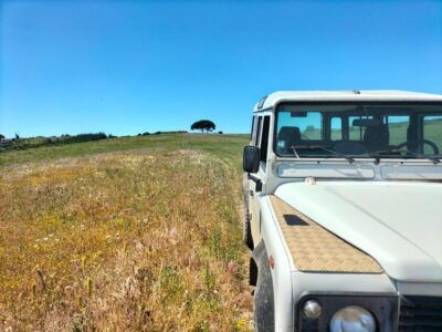 Winery, Tastings & 4×4 Vineyards: Half-Day Trip from Lisbon