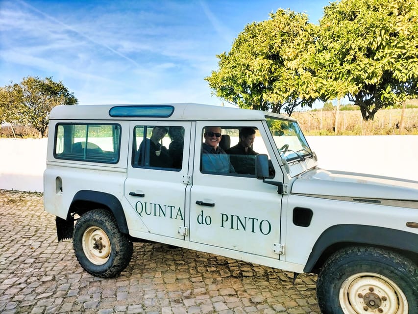 Winery, Tastings & 4x4 Vineyards: Half-Day Trip from Lisbon - A private vehicle, with some shared winery moments
